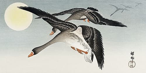 Birds at full moon Art Print by Ohara Koson