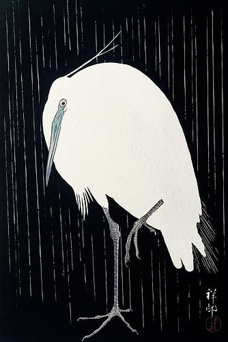 Egret in the rain Art Print