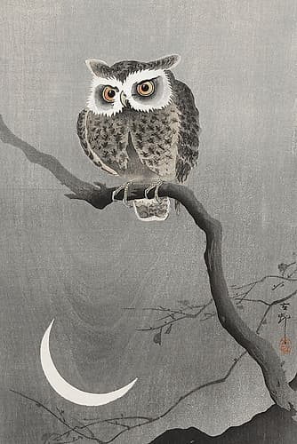 Long-eared owl on bare tree branch Nature Print