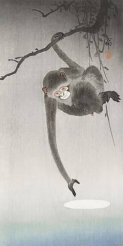 Monkey and reflection of the moon Nature Print