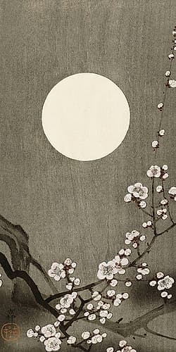 Blooming plum blossom at full moon Art Print