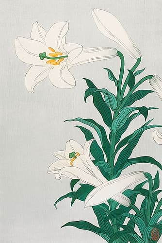 Lilies, Ohara Art Print