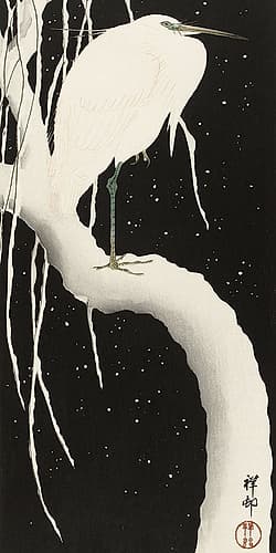 Heron in snow Art Print