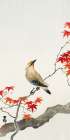 Japanese plague bird on maple Art Print