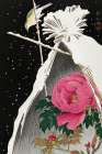 Siberian bluechat next to a peony Art Print