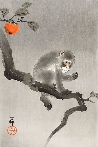 Monkey in cockatoo Nature Print