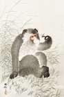 Monkey with insect Art Print