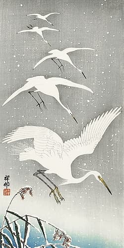 Descending egrets in snow Art Print