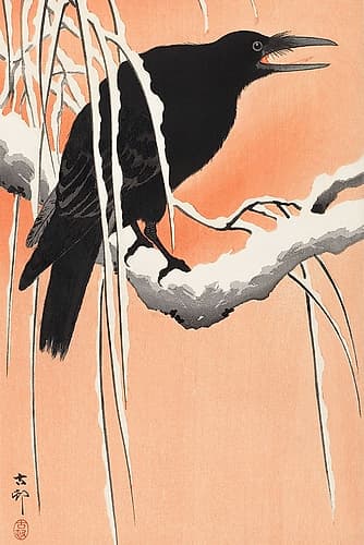Crow on snowy branch Art Print