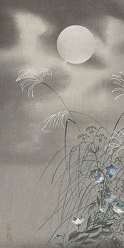 Grass and flowers at full moon Art Print