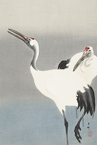 Two cranes Art Print