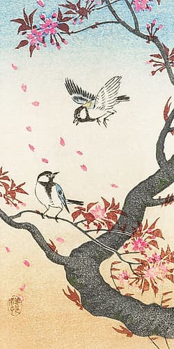 Two great tits at blossoming tree Art Print