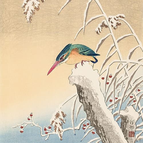 Kingfisher in the snow Art Print