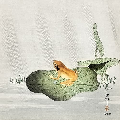 Frog on lotus leaf Nature Print