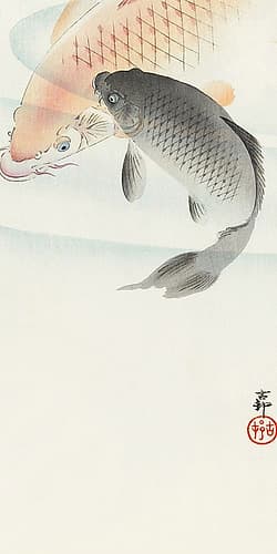 Two carp Art Print