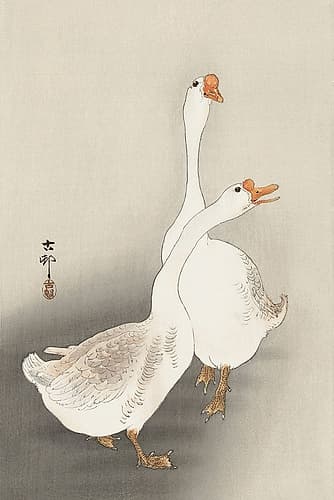 Two geese Art Print
