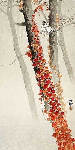 Red ivy Art Print