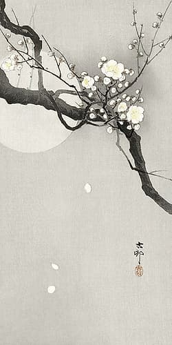 Plum blossom and full moon Art Print