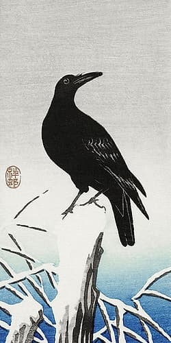 Crow on snowy pole Art Print