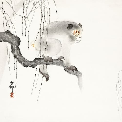 Monkey on a tree branch Nature Print