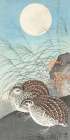 Two quails at full moon Art Print