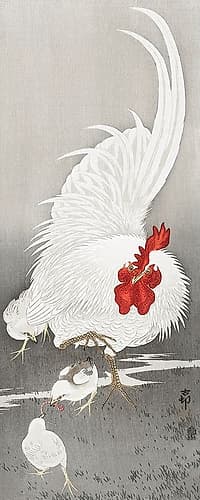 Rooster and three chicks Art Print