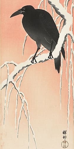 Crow on snowy branch Art Print
