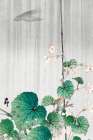 Begonia in the rain Art Print