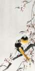 Two sable red tails with cherry blossom Art Print