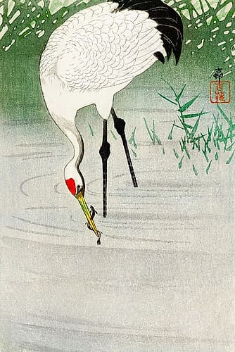 Fishing crane in shallow water Art Print