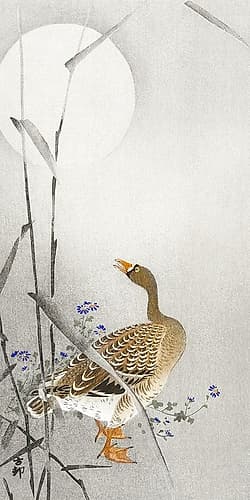 Goose at full moon Art Print