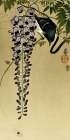 Flycatcher at wisteria Art Print