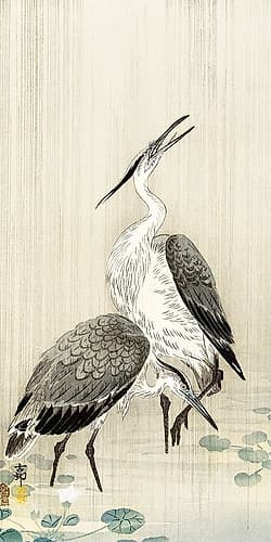 Two herons in the rain Art Print