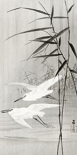 Two egrets in flight Art Print