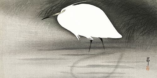 Egret Art Print