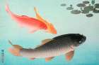 Common and Golden Carp Art Print