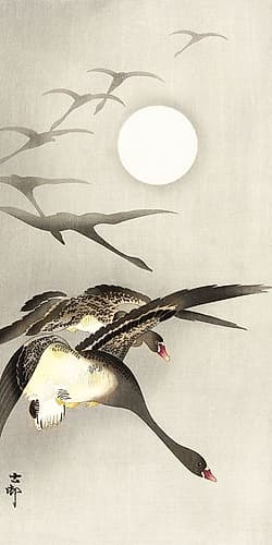 Geese at full moon Nature Print