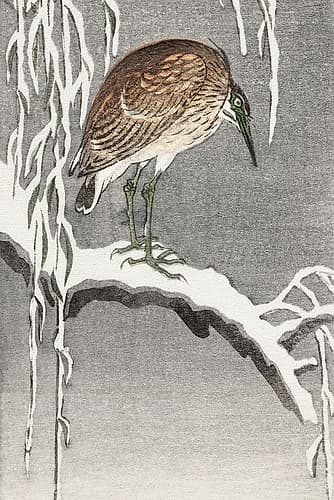 Heron on snowy tree branch Art Print