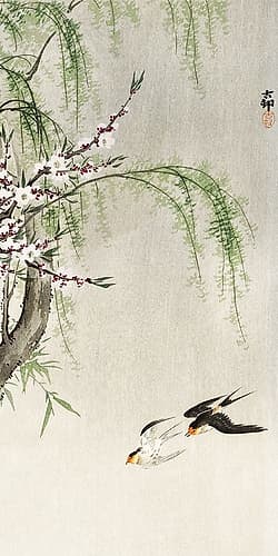 Swallows in flight Art Print