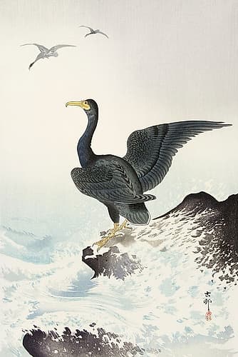 Red mask cormorant on rock Art japonais reproduction