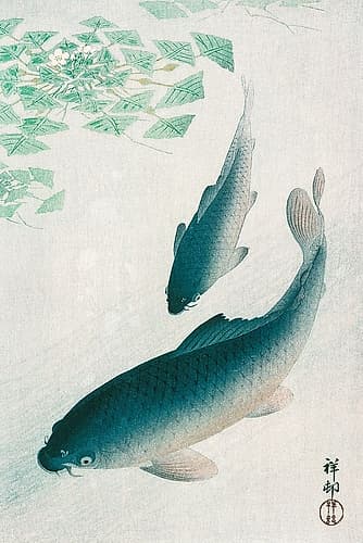 Carp or Koi Art Print
