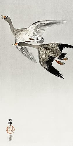 Great geese, flying in the snow Art Print