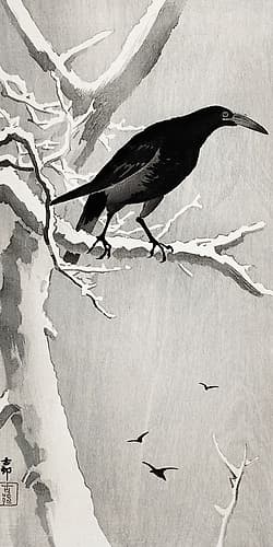 Crow on snowy tree branch Art Print