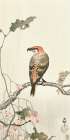 Crossbill on tree branch Art Print