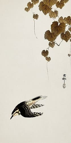 Bird in downward flight Art Print