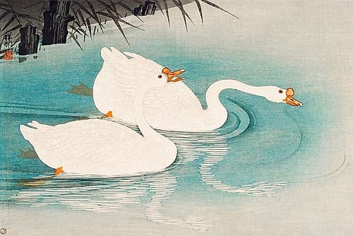 Geese amid Reeds Art Print