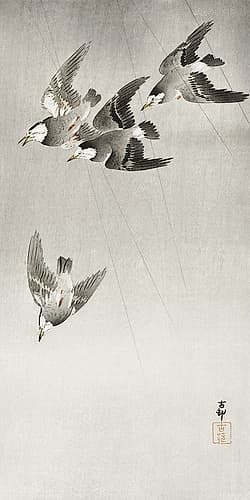 Starlings in the rain Art Print