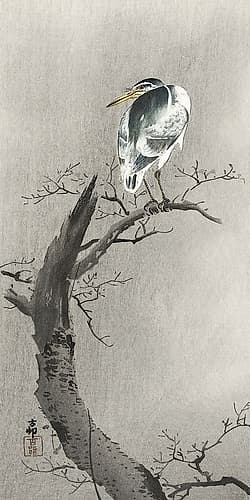 Kwak on branch Art Print