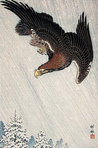 Eagle Flying in Snow Art Print