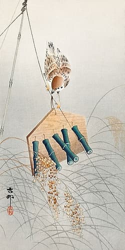 Ring sparrow on scarecrow Art Print